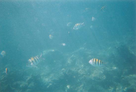 Photo 209d